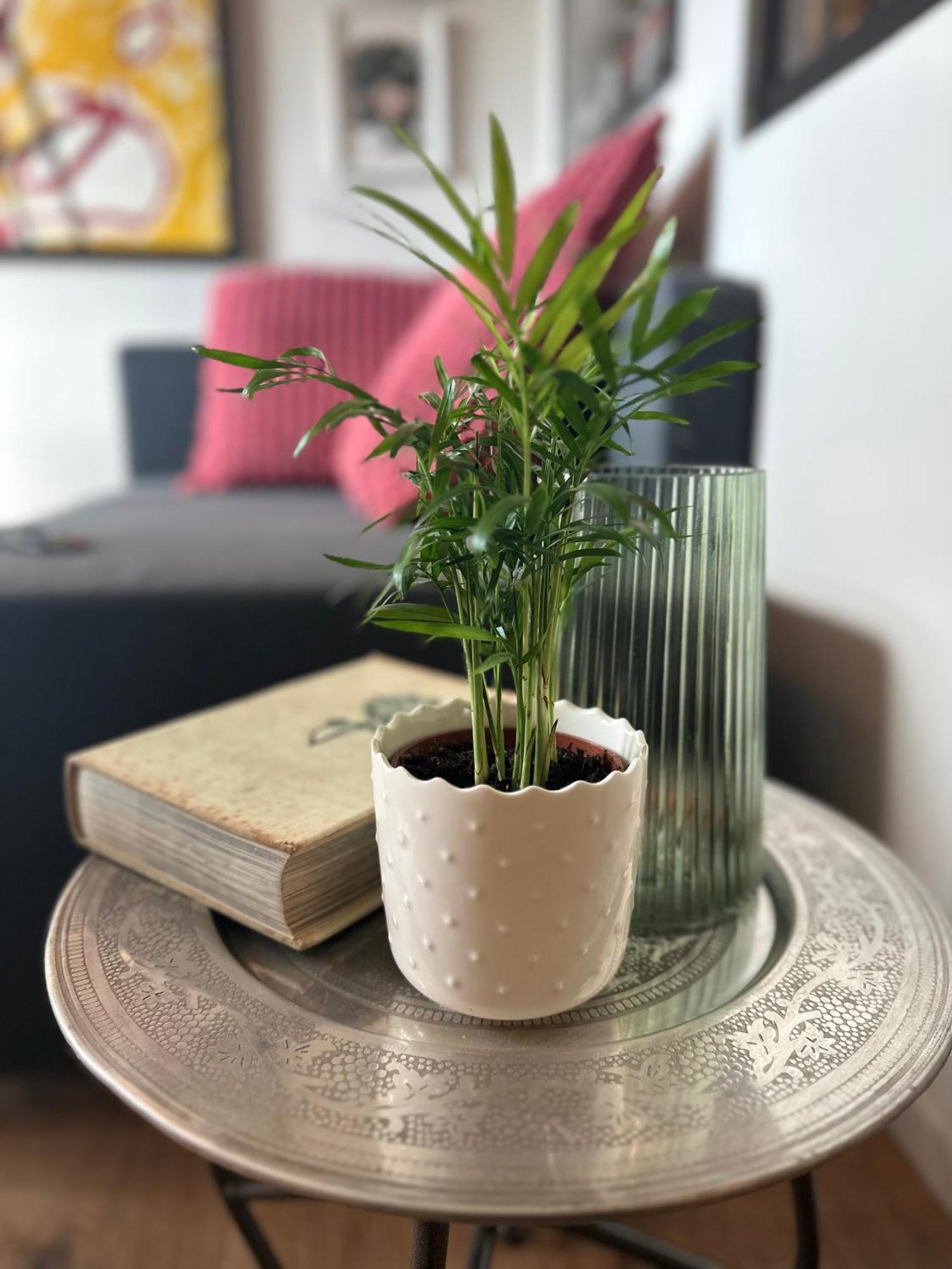 Soprabosco Calcata Art & Design Apartment المظهر الخارجي الصورة